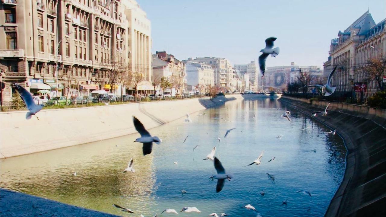 Eric Apartment 100 Βουκουρέστι Εξωτερικό φωτογραφία